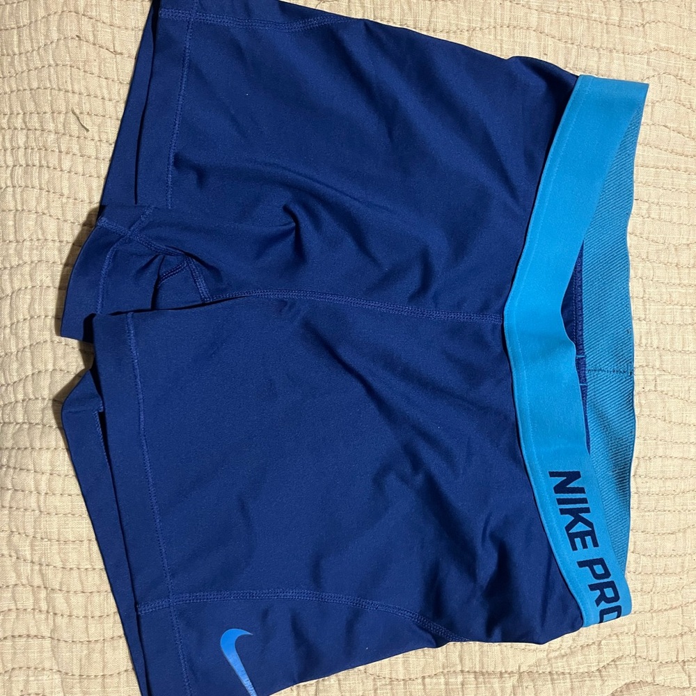 Nike Dri-FIT Blue Performance Shorts